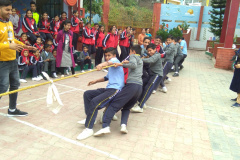 IMG_20191114_141156